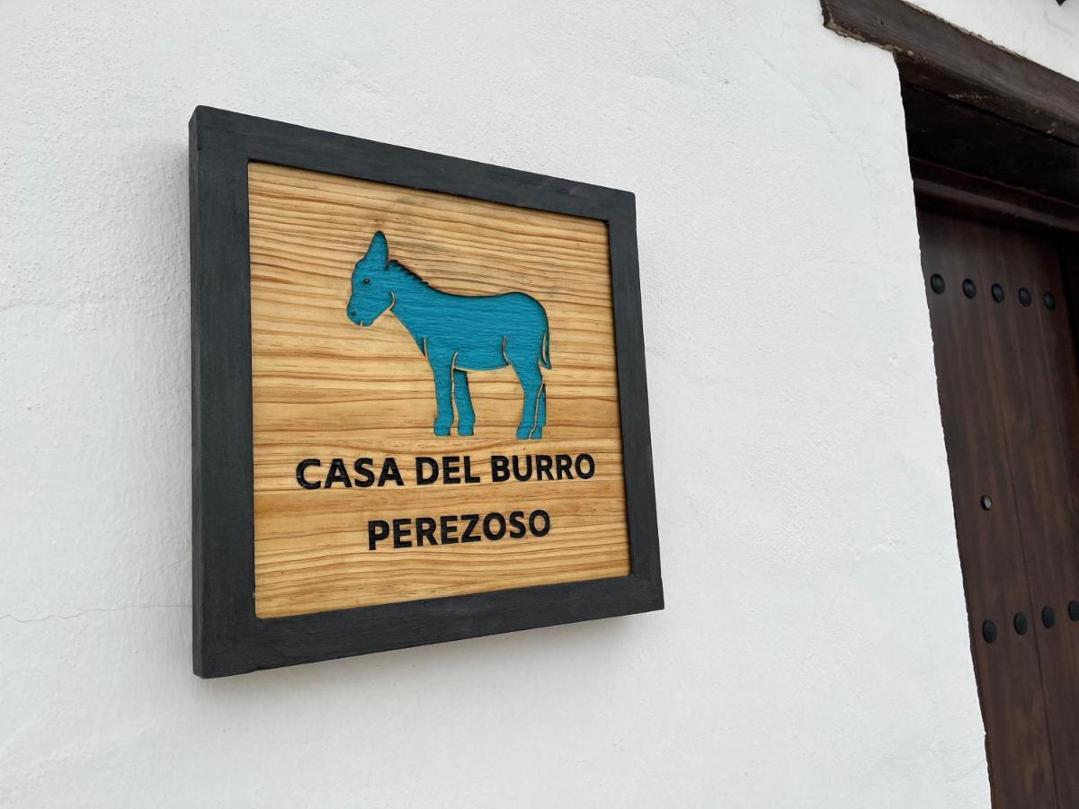 Casa Del Burro Perezoso Vakantiehuis *